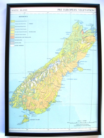 A 1950's vintage map featuring the pre-European vegetation of the South Island
